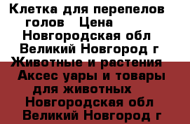 Клетка для перепелов 250 голов › Цена ­ 18 990 - Новгородская обл., Великий Новгород г. Животные и растения » Аксесcуары и товары для животных   . Новгородская обл.,Великий Новгород г.